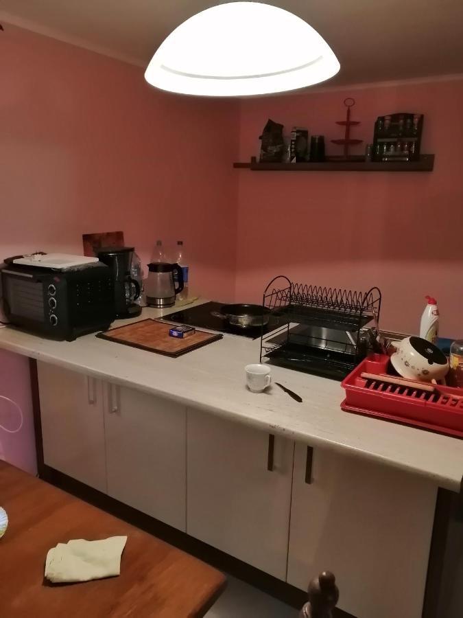 Miedzyles  Noclegi Przy Kominku מראה חיצוני תמונה